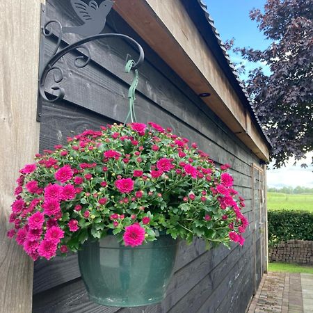 Вілла De Barg Vinkenbuurt Екстер'єр фото